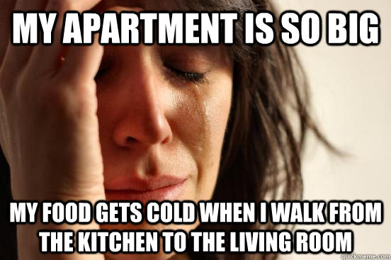 My apartment is so big My food gets cold when I walk from the kitchen to the living room  First World Problems