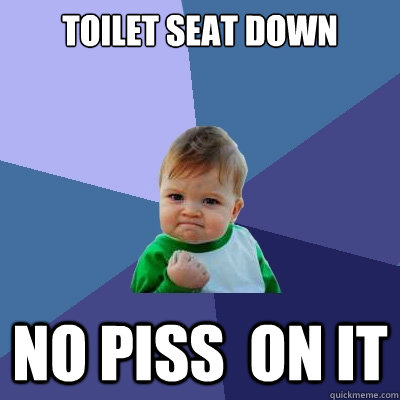Toilet Seat down No Piss  on it  Success Kid
