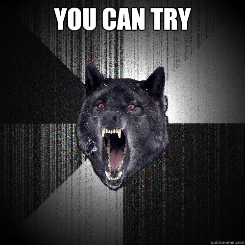YOU CAN TRY   insanitywolf