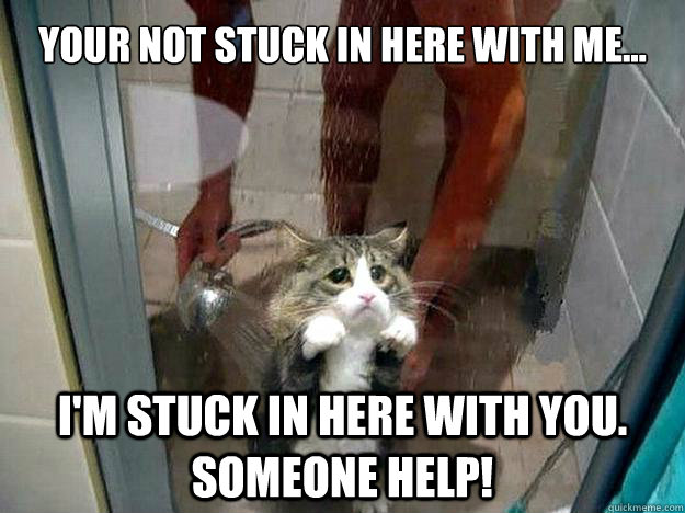 Your not stuck in here with me... I'm stuck in here with you. SOMEONE HELP!   Shower kitty