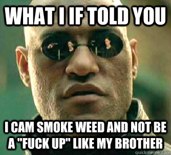 what i if told you I cam smoke weed and not be a 
