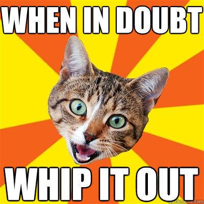 when in doubt whip it out  Bad Advice Cat