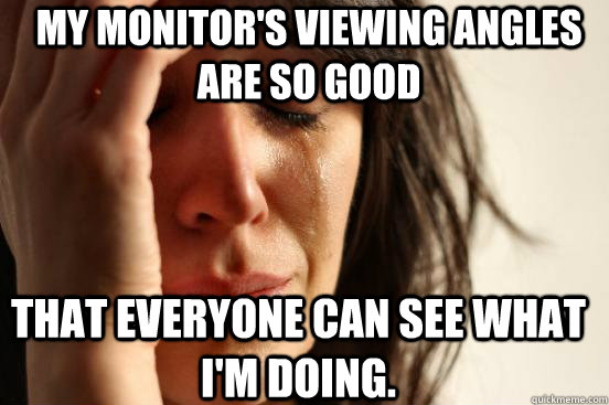My monitor's viewing angles are so good that everyone can see what I'm doing.  First World Problems