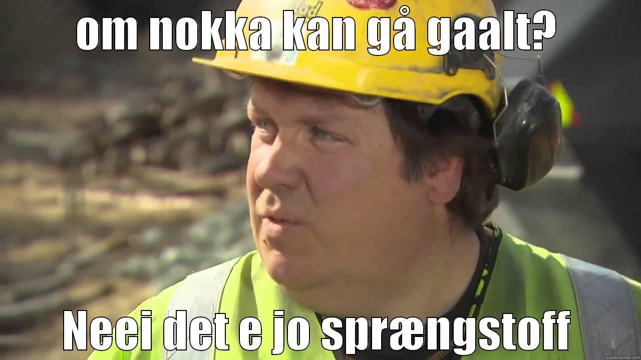 OM NOKKA KAN GÅ GAALT? NEEI DET E JO SPRÆNGSTOFF Misc