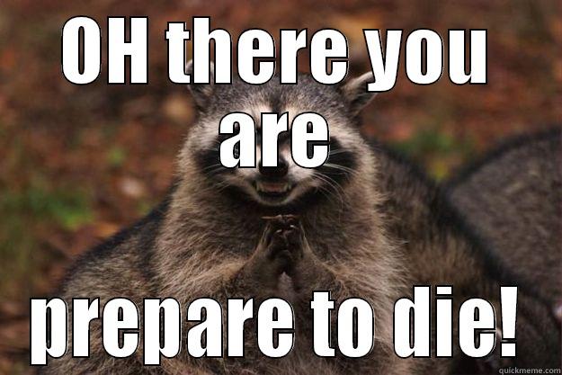 OH THERE YOU ARE PREPARE TO DIE! Evil Plotting Raccoon