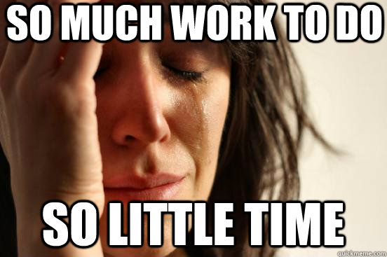 SO MUCH WORK TO DO  SO LITTLE TIME - SO MUCH WORK TO DO  SO LITTLE TIME  First World Problems