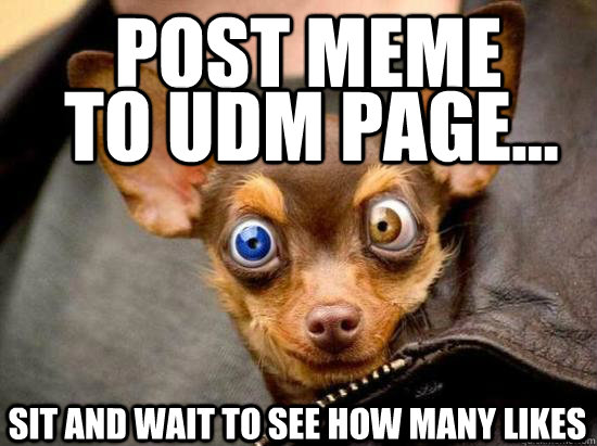 POST meme  to udm page... sit and wait to see how many likes  