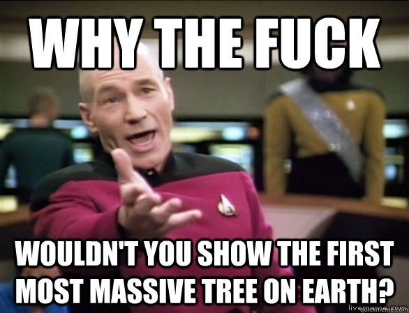 why the fuck Wouldn't you show the first most massive tree on earth?  Annoyed Picard HD