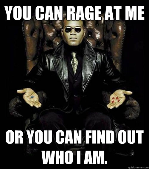 YOU CAN RAGE AT ME OR YOU CAN FIND OUT WHO I AM.  Morpheus