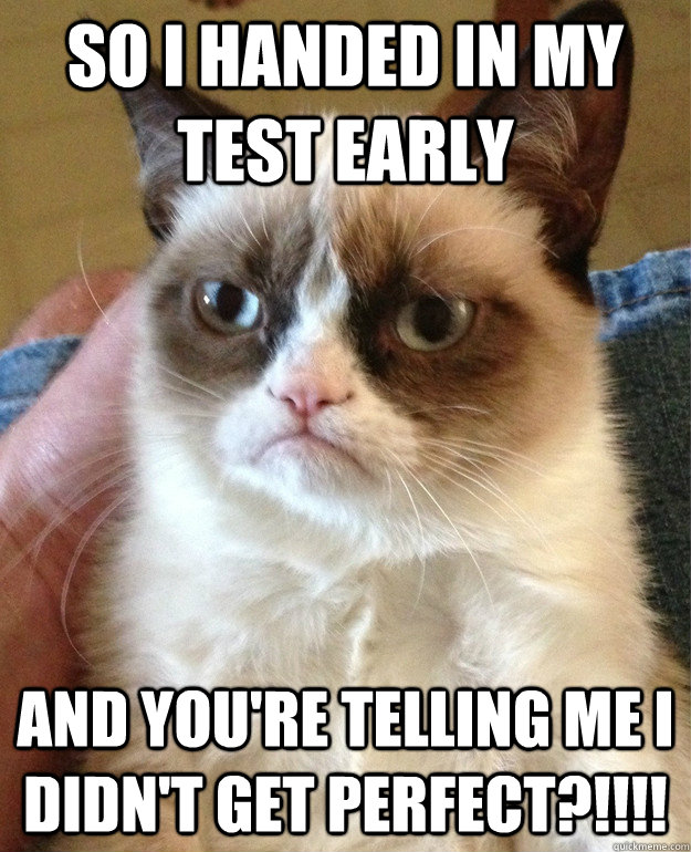 So I handed in my test early and you're telling me i didn't get perfect?!!!!  Grumpy Cat