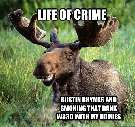 life of crime bustin rhymes and smoking that dank w33d with my homies  Life of Crime