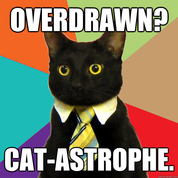 Overdrawn? Cat-astrophe.  Business Cat