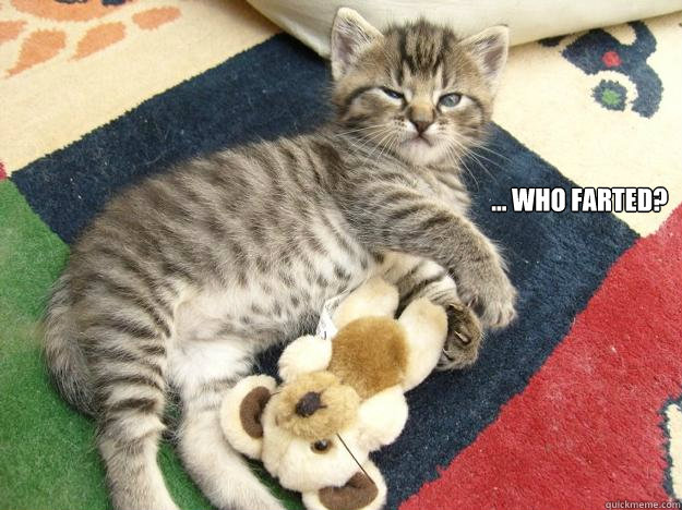  ... who farted?  Who farted