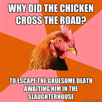 why did the chicken cross the road? to escape the gruesome death awaiting him in the slaughterhouse - why did the chicken cross the road? to escape the gruesome death awaiting him in the slaughterhouse  Anti-Joke Chicken