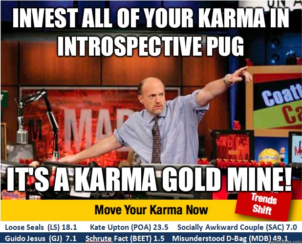 Invest all of your karma in introspective pug It's a karma gold mine!  Jim Kramer with updated ticker