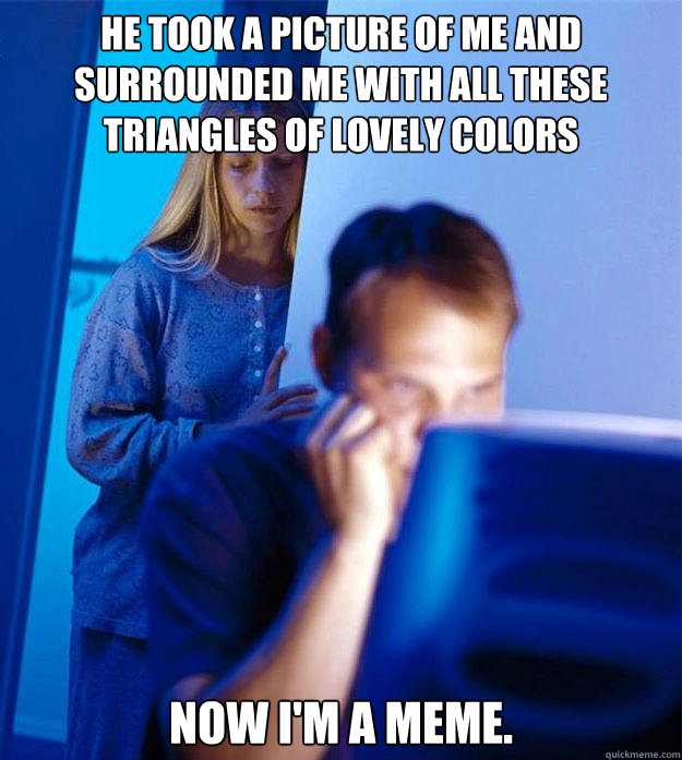 He took a picture of me and surrounded me with all these triangles of lovely colors Now I'm a meme.  Redditors Wife