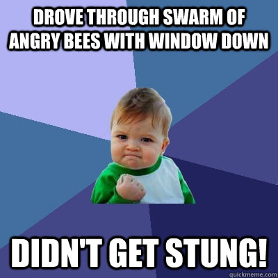 Drove through swarm of angry bees with window down didn't get stung!  Success Kid