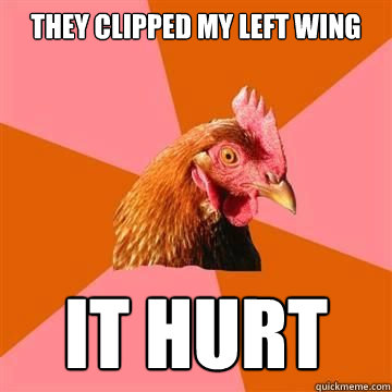 They clipped my left wing It hurt  True story now anti joke chicken