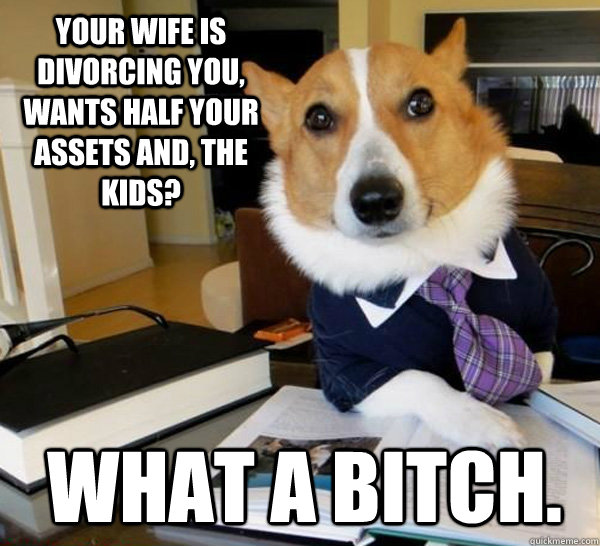 Your wife is divorcing you, wants half your assets and, the kids? What a bitch.  Lawyer Dog