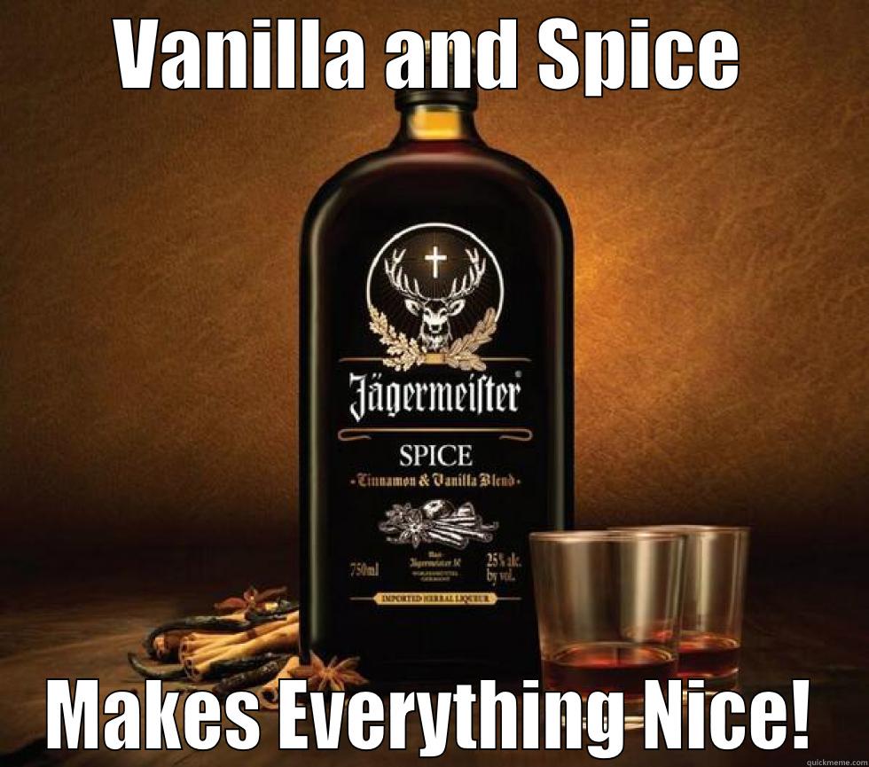 Nicey Spicey - VANILLA AND SPICE MAKES EVERYTHING NICE! Misc