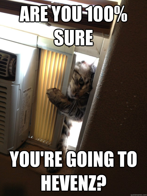 Are you 100% sure you're going to hevenz?  Jehovah Cat