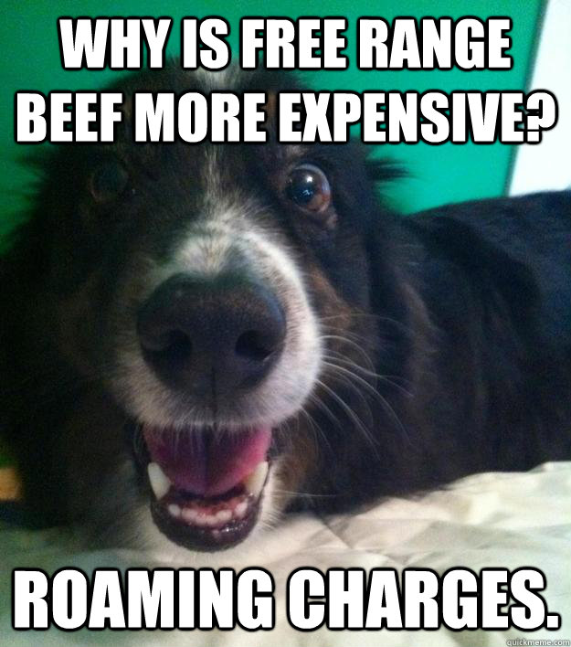 Why is free range beef more expensive? Roaming charges.  