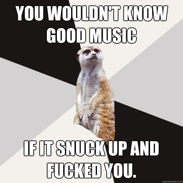 You wouldn't know good music if it snuck up and fucked you. - You wouldn't know good music if it snuck up and fucked you.  Musically inclined meercat