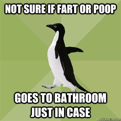 Not sure if fart or poop goes to bathroom just in case  Socially Average Penguin