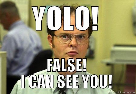YOLO! FALSE! I CAN SEE YOU! Schrute