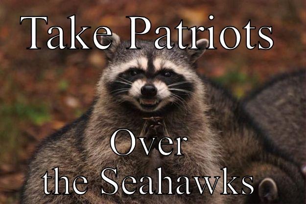 TAKE PATRIOTS OVER THE SEAHAWKS Evil Plotting Raccoon