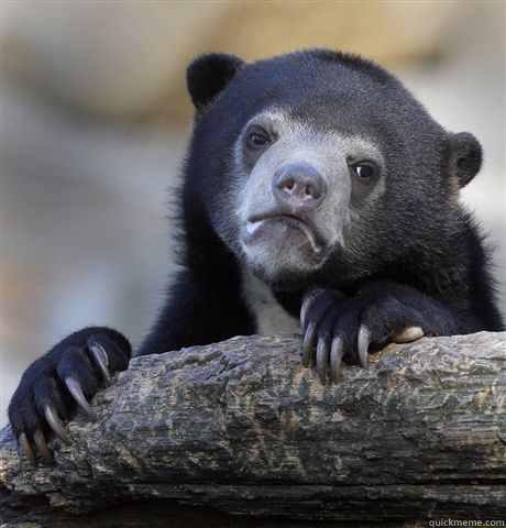 IONCURR  KNEEGRO Confession Bear