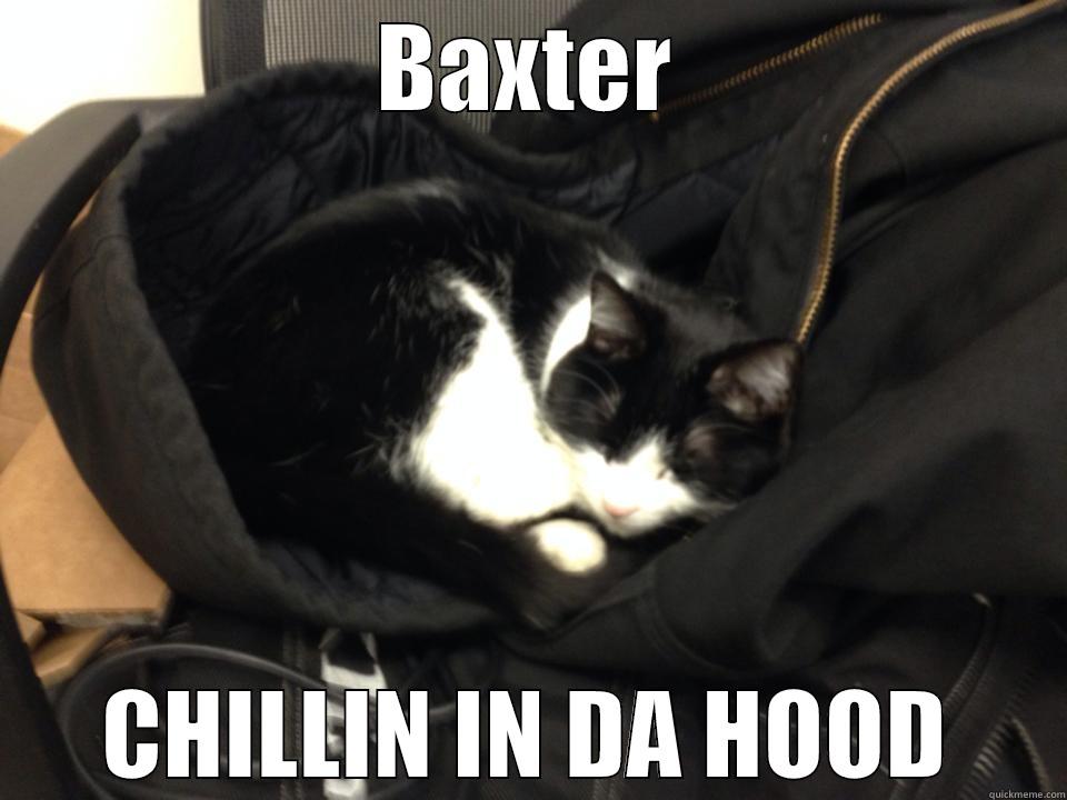 Cat in da hood - BAXTER CHILLIN IN DA HOOD Misc