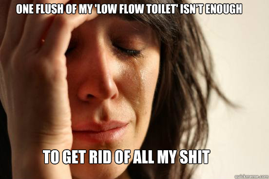 One flush of my 'low flow toilet' isn't enough to get rid of all my shit  First World Problems
