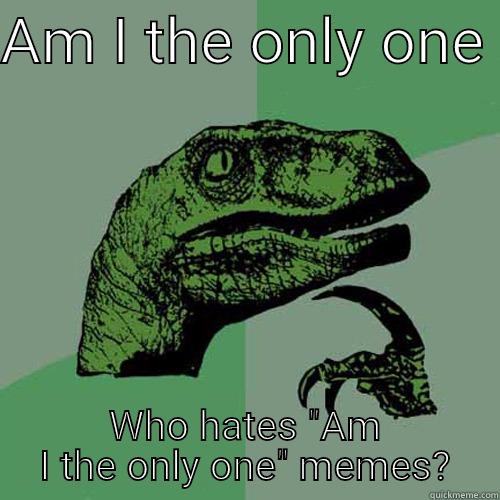 AM I THE ONLY ONE  WHO HATES 