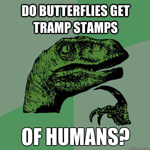 Do butterflies get tramp Stamps  of humans? - Do butterflies get tramp Stamps  of humans?  Philosoraptor