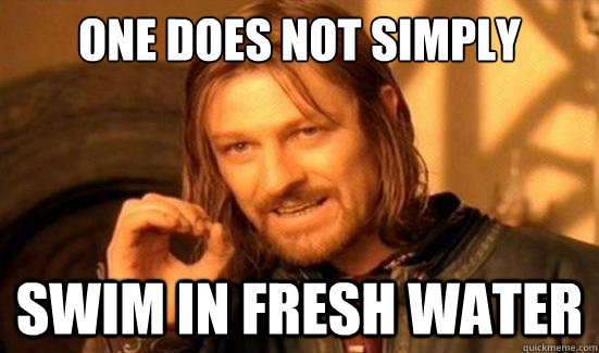 One Does Not Simply swim in fresh water  Boromir