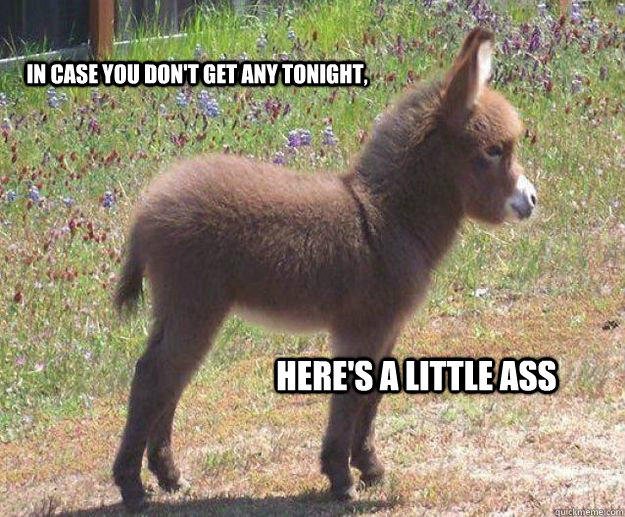 in case you don't get any tonight,  here's a little ass  