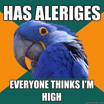 has aleriges Everyone thinks I'm high  Paranoid Parrot