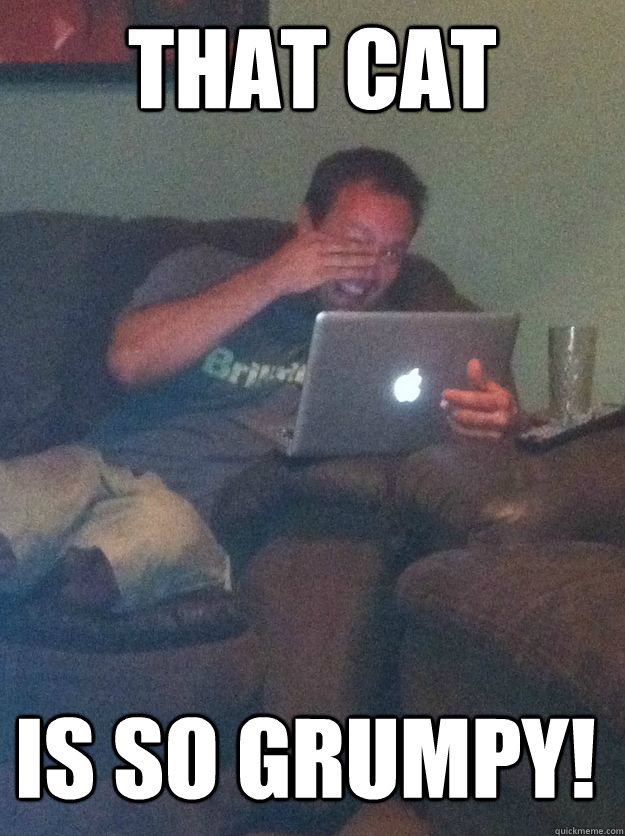 That cat Is so grumpy! - That cat Is so grumpy!  MEME DAD