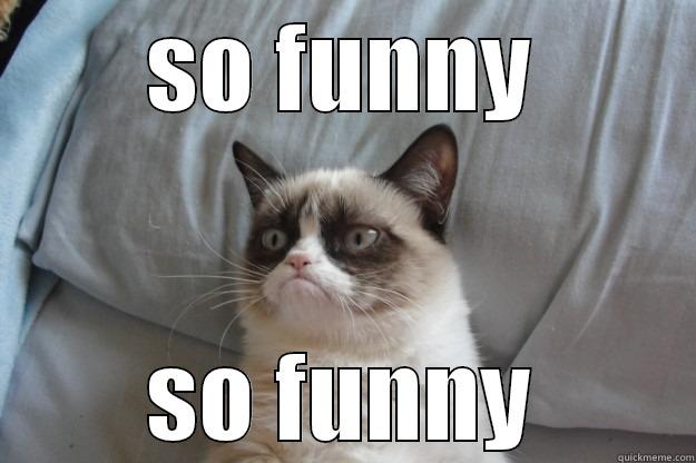 so funny - SO FUNNY SO FUNNY Grumpy Cat