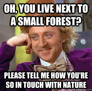 oh, you live next to a small forest? Please tell me how you're so in touch with nature  Condescending Wonka