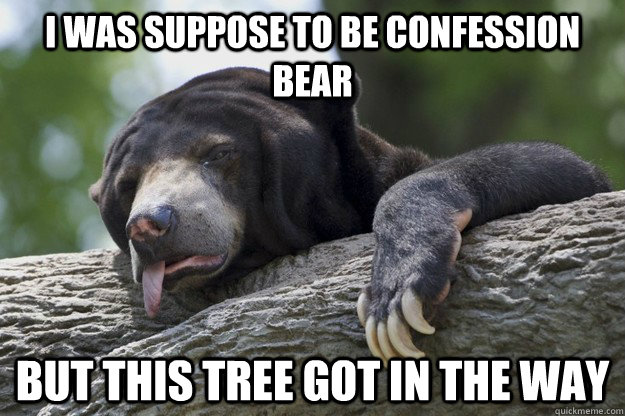 I was suppose to be confession bear But this tree got in the way  Excuses Bear