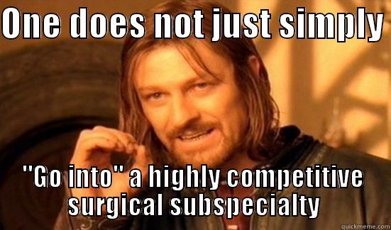 ONE DOES NOT JUST SIMPLY  