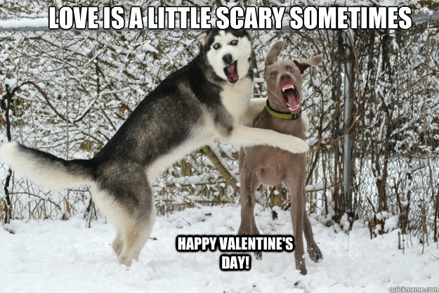 Love is a little scary sometimes
 Happy Valentine's Day!  - Love is a little scary sometimes
 Happy Valentine's Day!   Puppy Love