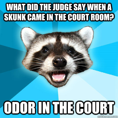 WHAT DID THE JUDGE SAY WHEN A SKUNK CAME IN THE COURT ROOM? ODOR IN THE COURT  Lame Pun Coon