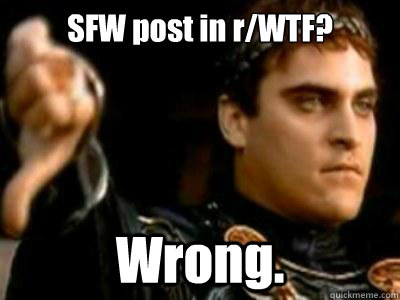 SFW post in r/WTF? Wrong.  Downvoting Roman