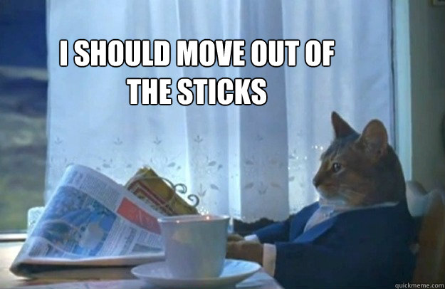 I should move out of the sticks  Sophisticated Cat