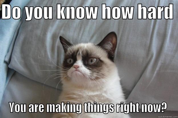 DO YOU KNOW HOW HARD  YOU ARE MAKING THINGS RIGHT NOW? Grumpy Cat