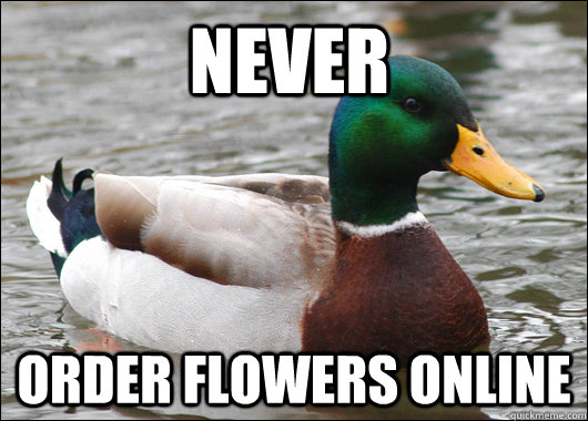 NEVER ORder flowers online   Actual Advice Mallard