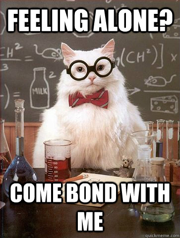 Feeling Alone? Come Bond With Me  Science Cat